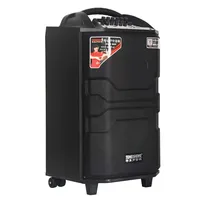 M Bluetooth Trolley Speaker 12 pouces Big Power Pro Audio Powered Speaker Active Sound Karaoke Speaker