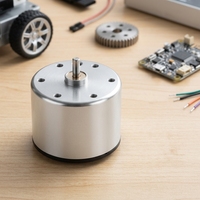 Moteur micro DC 12V 520 à haute vitesse et faible bruit, moteur à balais pour appareils intelligents DIY, robots, jouets personnalisés