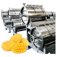 Volautomatische Machine Wassen Mango Fruit Mango Productielijn Sap Maken Machine Droger Mango Puree