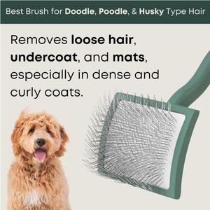 Spazzola per cani personalizzata per cani a pelo lungo barboncini dorati Doodles spazzola per cani di grandi dimensioni spazzola per animali domestici e Deshedding - Product Image 4