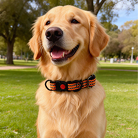 Collier moderne rayé en nylon pour chiens et chats - Durable, réglable, à dégagement rapide, léger, respirant, avec fil réfléchissant
