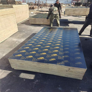 Pannello in compensato marino 4x8 in <span class=keywords><strong>pioppo</strong></span> con pellicola protettiva E2 per costruzioni <span class=keywords><strong>di</strong></span> container, edilizia, casseforme e casseforme per calcestruzzo - Product Image 3