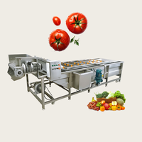 Chaîne de production complète pour la fabrication de ketchup et de concentré de tomate, incluant concentrateur et ligne de préparation de sauce