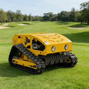 Produits les plus vendus Livraison gratuite Robot télécommandé Tondeuse à gazon automatique Sans fil Quatre temps Petite tondeuse agricole - Product Image 4