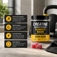 Gummies de créatine monohydrate non OGM, supplément de créatine pour le fitness, nutrition sportive quotidienne, emballage OEM, service de vente en gros en stock