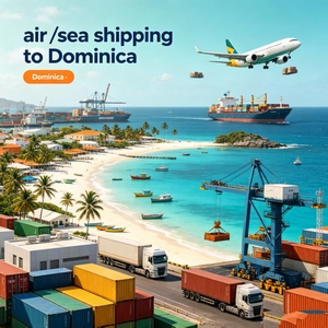 Servicio <span class=keywords><strong>de</strong></span> Transporte Aéreo a Aeropuerto <span class=keywords><strong>de</strong></span> <span class=keywords><strong>Santo</strong></span> <span class=keywords><strong>Domingo</strong></span>, Maquinaria <span class=keywords><strong>de</strong></span> Construcción <span class=keywords><strong>de</strong></span> Gran Tamaño - Product Image 1