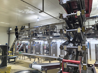 RL520H haute vitesse entièrement automatique 14 têtes peseuse multi-têtes puces verticales Machine d'emballage de sachets à film chaud