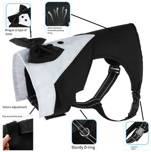 JXANRY's Neues Modisches Haustier-Brust- und Rückengeschirr mit Leine im Westen-Stil für Hunde & Katzen Aller Größen - Product Image 5