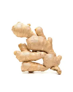 China Xuanyi Food fresh /dry ginger from China with top quality and low price