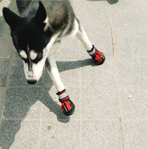 Lindos Zapatos para Perro Impermeables y Transpirables para Exteriores con Dos Tiras Reflectantes, Suelas Resistentes Antideslizantes (Cuero y Goma), Juego de 4 Piezas - Product Image 6