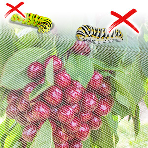 Filet anti-insectes robuste et respirant à mailles fines pour la <span class=keywords><strong>protection</strong></span> des serres, jardins, fermes, légumes et fleurs - Product Image 6