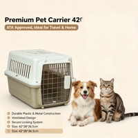 Cage de transport pour chien et chat pour voiture et usage domestique, cage en plastique rigide durable avec porte en maille métallique, transporteur portable pour animaux de compagnie