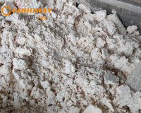 Presse Hydraulique à Manioc pour Déshydratation