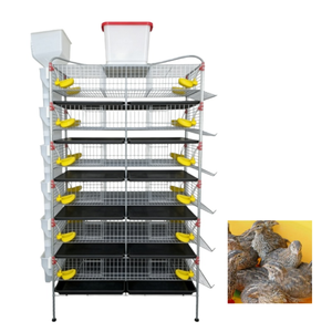 Équipement professionnel d'élevage de cailles, <span class=keywords><strong>cage</strong></span> à 6 niveaux avec système d'alimentation et d'abreuvement automatisé - Product Image 6