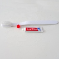 Mini brosse à dents jetable d'hôtel et fabricant de dentifrice à la menthe