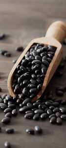 Semillas de Soja Negra Orgánicas a Granel, Sin GMO, Variedad Tradicional para Plantar y Cocinar - Product Image 4