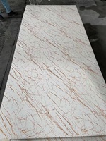 Panneaux de revêtement de douche en PVC imitation marbre, imperméables et résistants aux UV, 1220*2440 mm