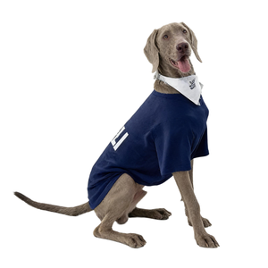 Nuevo Chaleco para Perro Marca Titancore, Corte Ajustado, Color Azul, Dos Patas, Ropa para Perro para Invierno Frío, Ropa de Senderismo para Perros Grandes - Product Image 4