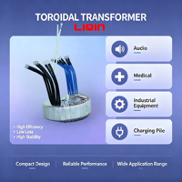 Noyau toroïdal de haute qualité 50W-5000W Entrée 110V 120V Transformateur de puissance pour testeur industriel