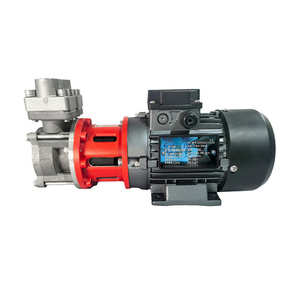 Bomba de Circulación Magnética de Acero Inoxidable Personalizable, Soporte OEM, Sin Fugas - Product Image 1