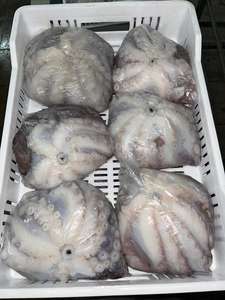 <span class=keywords><strong>Pulpo</strong></span> <span class=keywords><strong>congelado</strong></span> a buen <span class=keywords><strong>precio</strong></span> y <span class=keywords><strong>pulpo</strong></span> de buena calidad - Product Image 4