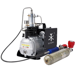 Máy nén khí cầm tay TUXING, giá sỉ tốt nhất, dừng tự động, 4500psi 300bar 30mpa, dùng cho PCP, chơi paintball, săn bắn, lặn, di động - Product Image 1