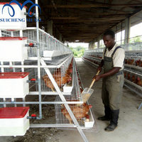 Cages à poulets métalliques soudées pour élevage avicole, poulailler à batterie à 4 niveaux pour poules pondeuses, poussins et élevage, galvanisé