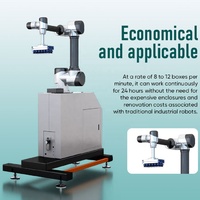 Robot Inteligente de Paletización con Programación IA, Apilador Robótico para Manejo de Cajas y Bolsas Mixtas en Almacenes de Logística de Comercio Electrónico