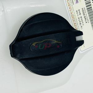 25430-2W000 254302W000 Conjunto de depósito y manguera de refrigeración para Hyundai Kia 25430 2W000 - Product Image 2