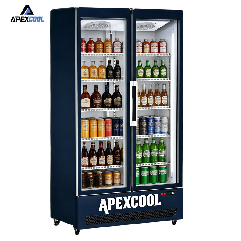 Large Double 2 Door Commercial Upright