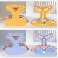 Harnais pour chien avec laisse, accessoires pour animaux de compagnie, harnais et laisse réglables pour chiens de petite taille, pour l'extérieur