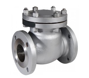 Ansi PN16 DN65 Asme Wcb เช็ควาล์วสำหรับน้ำด้วยมือวาล์วเหล็กหล่อ CF8/CF8M/CF3M - Product Image 5