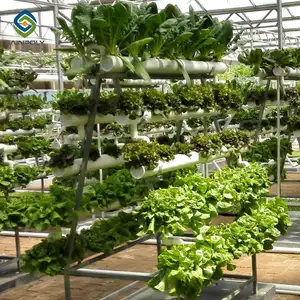 Greenhouse Hydroponic Growing Systems Sainpoly Nft Hydroponic Growing Systems Greenhouse Complete Hydroponic System Nft For Lettuce Indoor Growing System