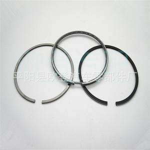 Segments de piston en fonte d'aluminium de haute qualité pour moteur Nissan BD30T 12033-0W814 & 12033-NA010 SDN30153ZZ pour modèles de voitures diesel - Product Image 2