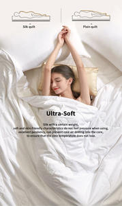 Edredón de Seda de Morera de Lujo, Suave al Tacto, 100% Seda Pura, Venta Caliente de Fábrica - Product Image 4