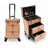Grande valise à roulettes cosmétique Serrures à roulettes professionnelles Organisateur de stockage de cosmétiques Mallette de train à roulettes pour maquillage avec tiroirs