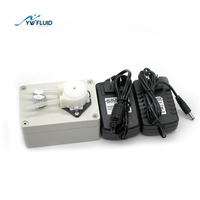 황화나트륨/질산나트륨/아닐린 실험실 테스트를위한 12v/24v 더블 헤드 액체 이송 물 투약 연동 펌프