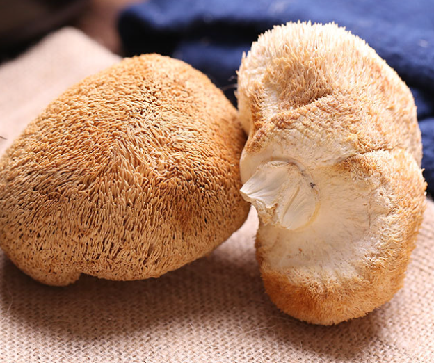 yalangoch qiz daraxtga boglangan