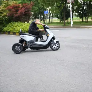 도매 스쿠터 Three Wheeler 1000W 전기 세발 자전거 록 모터