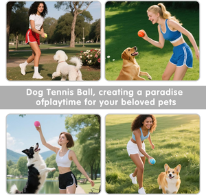 <span class=keywords><strong>Pelotas</strong></span> de <span class=keywords><strong>Tenis</strong></span> de Goma Personalizadas con 1000 <span class=keywords><strong>Pelotas</strong></span> de <span class=keywords><strong>Tenis</strong></span> en Venta y Pelota de <span class=keywords><strong>Tenis</strong></span> de Color con Logotipo Personalizado para Suministros Deportivos Personalizados al por Mayor - Product Image 5
