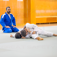 Tapis de judo standard IJF 1m x 1m 1m x 2m Épaisseur 4-6cm Surface en cuir PVC Dos en caoutchouc antidérapant Remplissage en mousse PU personnalisé