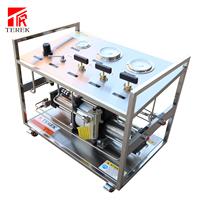 Pompe de transfert de gaz CO2 pneumatique à double action Terek pour test de surpression