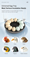 WONEGG Incubateur automatique à 12 œufs à taux d'éclosion élevé, mini-incubateur, machine à faire éclore les œufs
