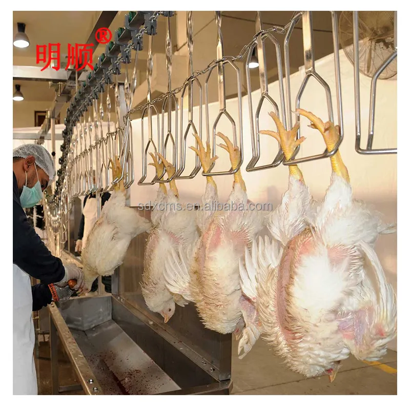 2023 फैक्टरी मूल्य पोल्ट्री बतख चिकन खरगोश मांस प्रसंस्करण संयंत्र मशीन