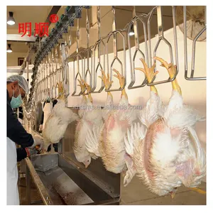 2023 Fabrieksprijs Pluimvee Eend Kip Konijn Vleesverwerkingsfabriek Machine