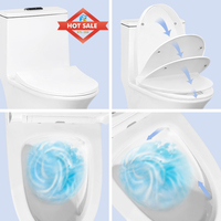 Toilettes Modernes : Ensemble WC monobloc à chasse directe pour salle de bain, cuvette de toilettes et cuvette WC