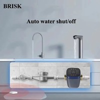 Détecteur de fuite d'eau domestique 2022 OEM à technologie ultrasonique adaptative IA et vanne d'arrêt automatique, anti-fuite