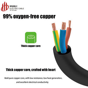 アメリカ標準プラムブロッサムテールラップトップパワーコード、断面積0.75平方メートル、長さ1.5メートル。 - Product Image 3