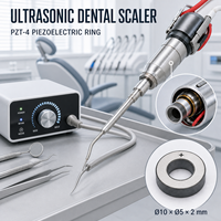 Élément transducteur ultrasonique en céramique piézoélectrique 10 * 5 * 2 mm pour détartreur dentaire, éliminateur de plaque dentaire, nettoyage buccal
