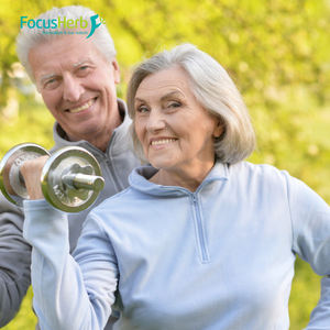 ผงอะพิเจนินธรรมชาติจากคลังสินค้า Focusherb ในสหรัฐอเมริกา สารสกัดจากดอกคาโมมายล์ อะพิเจนิน 98% - Product Image 3